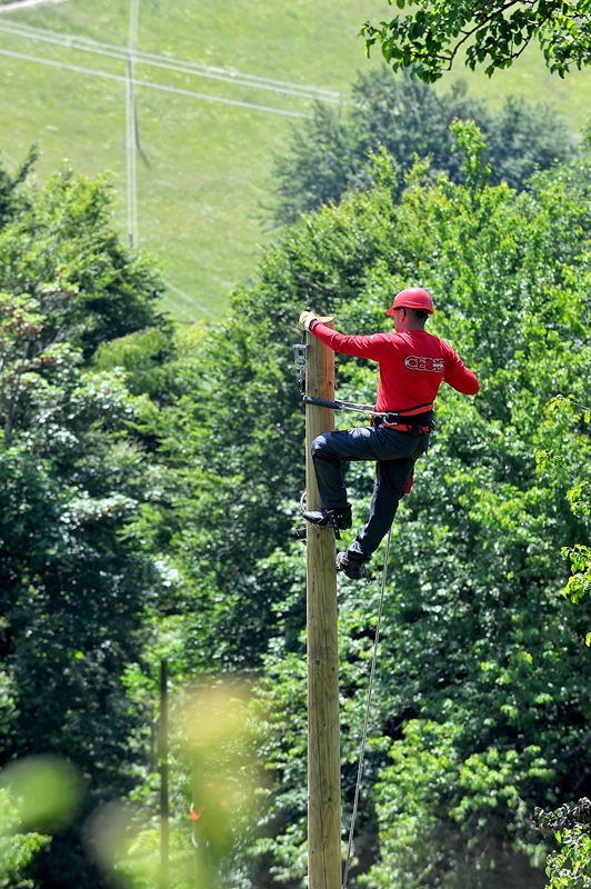 CEDIS OBARA REKORDE: GUBICI NA ELEKTRODISTRIBUTIVNOJ MREŽI U SEPTEMBRU SVEDENI NA 6,82%